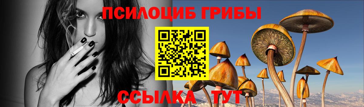 Галлюциногенные грибы Psilocybe  Вход с VPN  Советская Гавань 